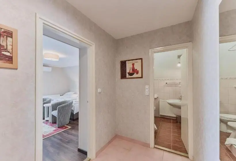 Standard Neljän Hengen Huone, Tokajer Wellness Panzió