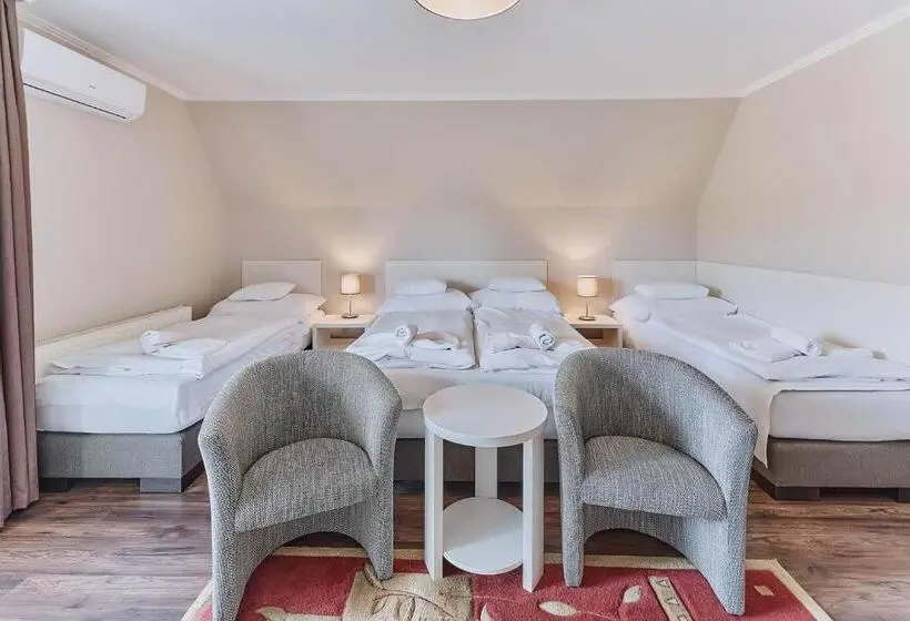 Standard Neljän Hengen Huone, Tokajer Wellness Panzió
