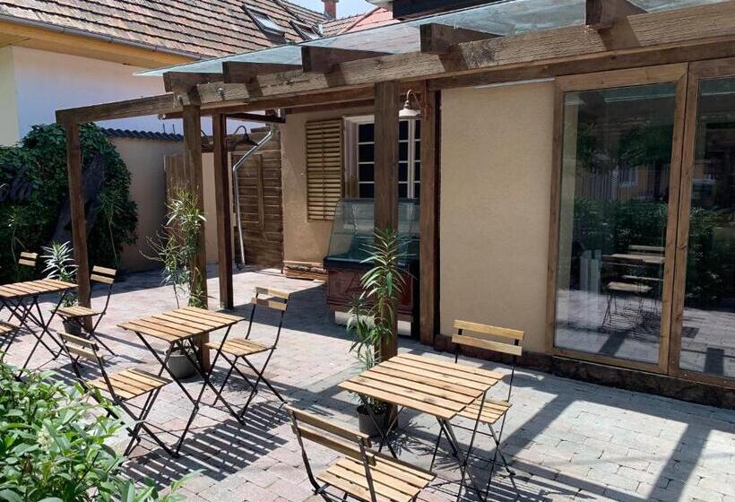 חדר סטנדרט נוף לבריכה, Silver Lounge Siófok