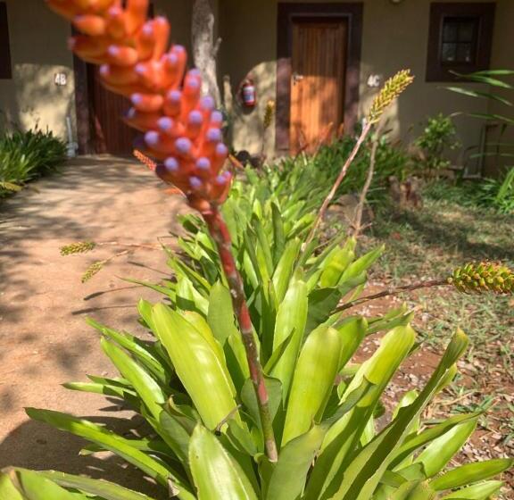غرفة قياسية, Selati River Ruins