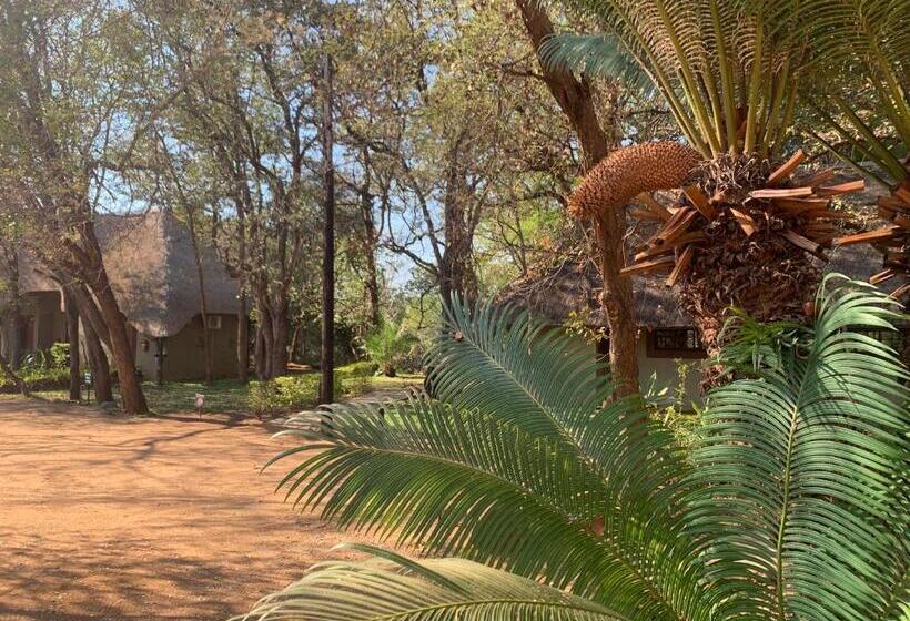 غرفة قياسية, Selati River Ruins