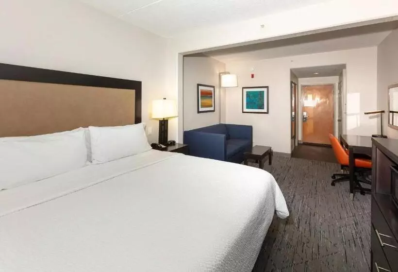 اتاق استاندارد با تخت بزرگ, Holiday Inn Express Hotel & Suites Jacksonville Airport, An Ihg