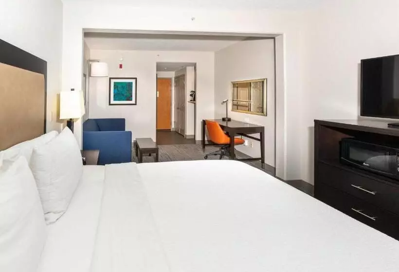 اتاق استاندارد با تخت بزرگ, Holiday Inn Express Hotel & Suites Jacksonville Airport, An Ihg