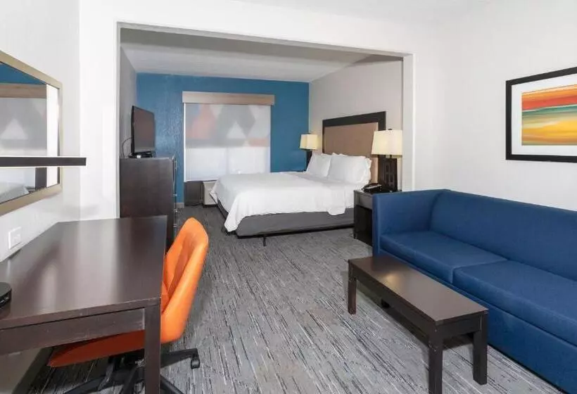 اتاق استاندارد با تخت بزرگ, Holiday Inn Express Hotel & Suites Jacksonville Airport, An Ihg