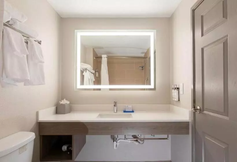 اتاق استاندارد با تخت بزرگ, Holiday Inn Express Hotel & Suites Jacksonville Airport, An Ihg