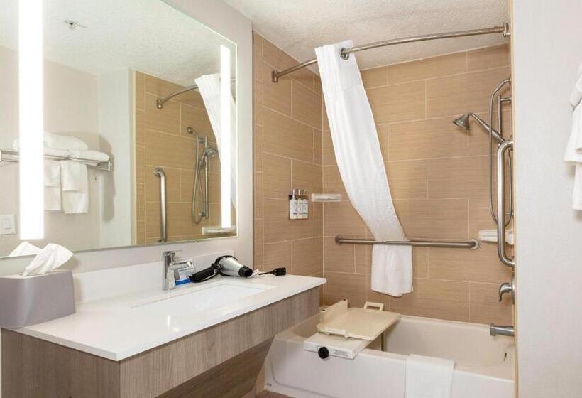 장애인을 위한 킹사이즈 침대 스탠다드 룸, Holiday Inn Express Hotel & Suites Jacksonville Airport, An Ihg