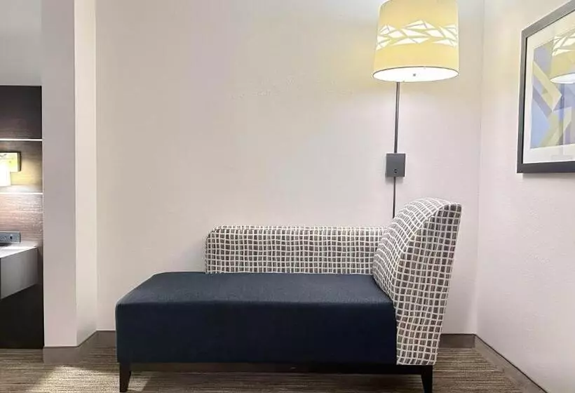 スタンダードルーム, Holiday Inn Express & Suites   Prospect Heights, An Ihg