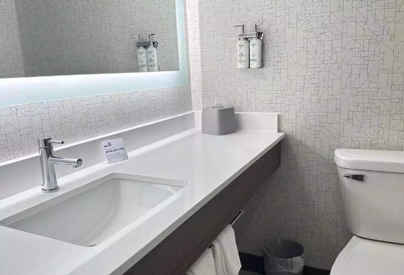 スタンダードルーム, Holiday Inn Express & Suites   Prospect Heights, An Ihg