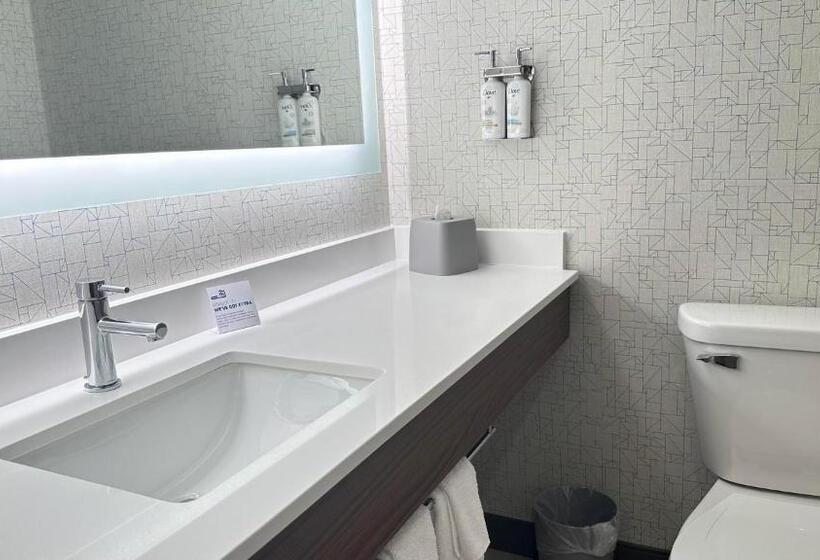 جناح سرير كينج, Holiday Inn Express & Suites   Prospect Heights, An Ihg