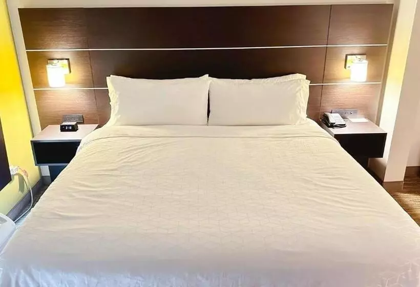 身障者適用キングサイズベッドルーム, Holiday Inn Express & Suites   Prospect Heights, An Ihg