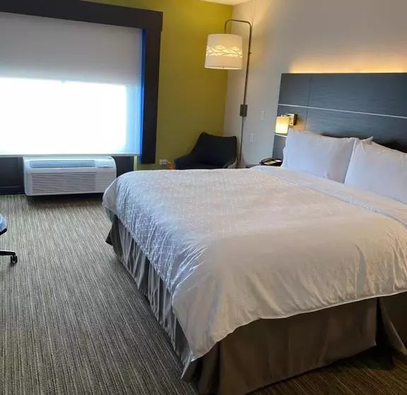 身障者適用キングサイズベッドルーム, Holiday Inn Express & Suites   Prospect Heights, An Ihg