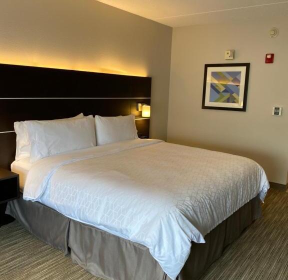 غرفة قياسية سرير كينج لذوى الإحتياجات الخاصة, Holiday Inn Express & Suites   Prospect Heights, An Ihg
