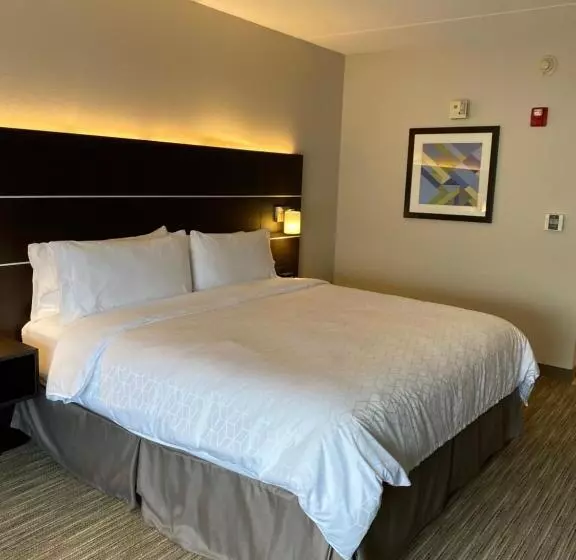 身障者適用キングサイズベッドルーム, Holiday Inn Express & Suites   Prospect Heights, An Ihg