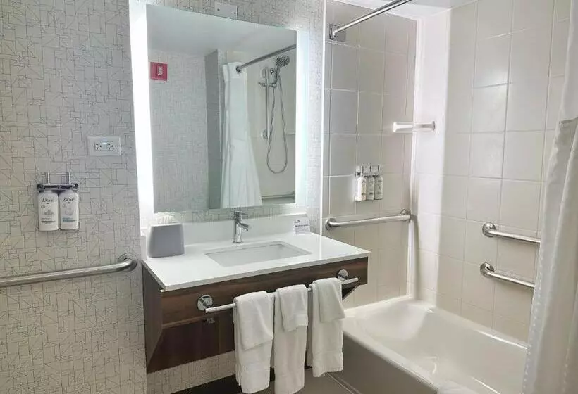 身障者適用スタンダードルーム, Holiday Inn Express & Suites   Prospect Heights, An Ihg