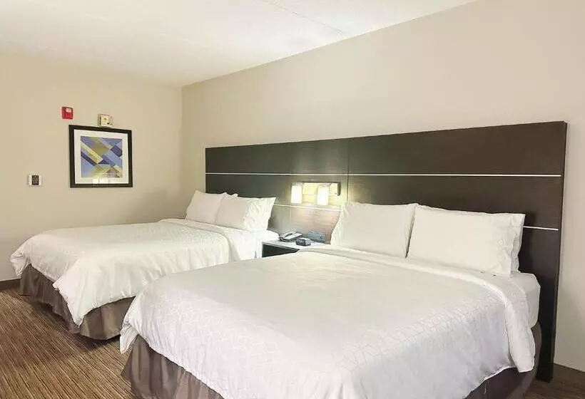 身障者適用スタンダードルーム, Holiday Inn Express & Suites   Prospect Heights, An Ihg