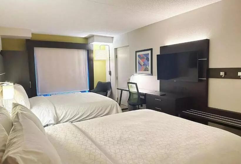 身障者適用スタンダードルーム, Holiday Inn Express & Suites   Prospect Heights, An Ihg