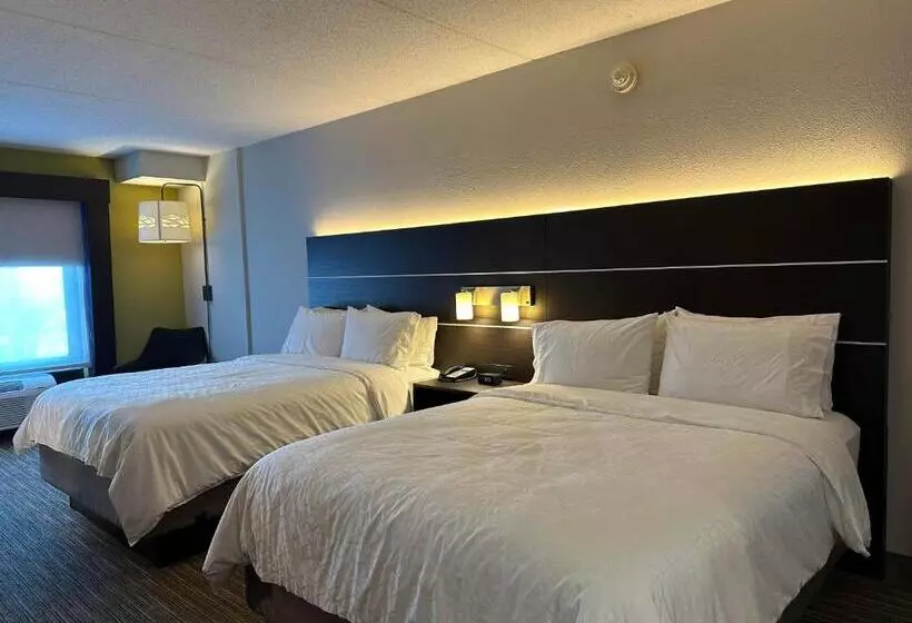 身障者適用スタンダードルーム, Holiday Inn Express & Suites   Prospect Heights, An Ihg