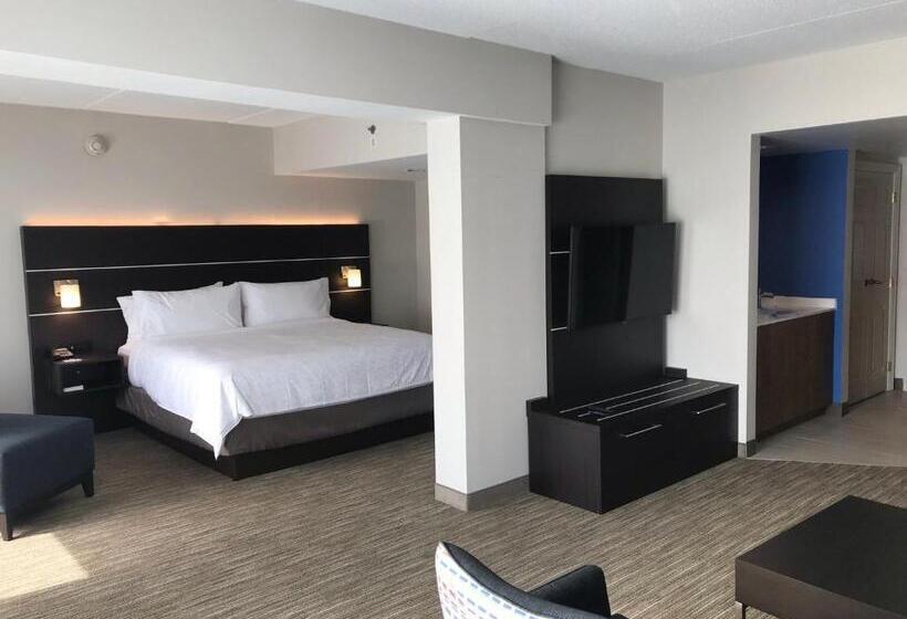 장애인을 위한 스위트, Holiday Inn Express & Suites   Prospect Heights, An Ihg