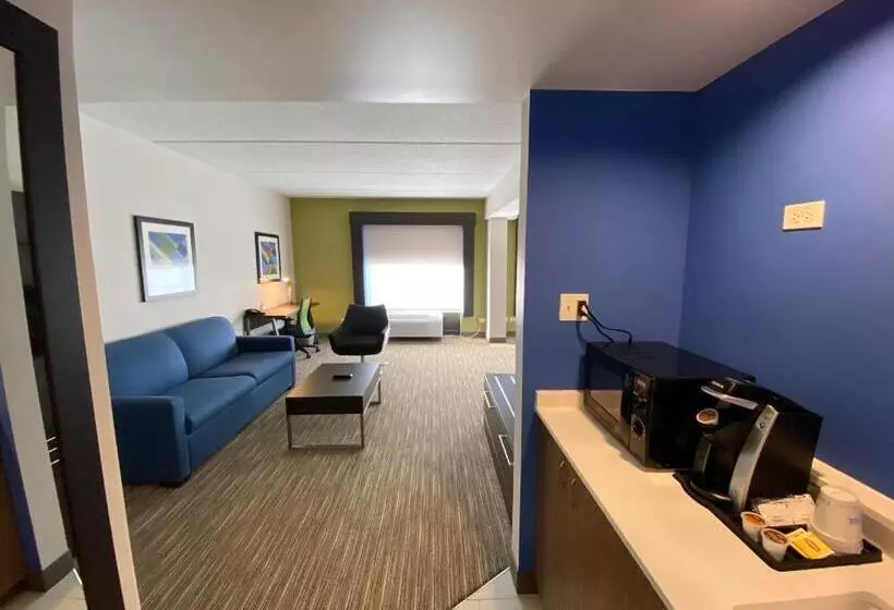 身障者適用スイートルーム, Holiday Inn Express & Suites   Prospect Heights, An Ihg