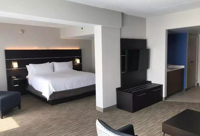 スイート, Holiday Inn Express & Suites   Prospect Heights, An Ihg