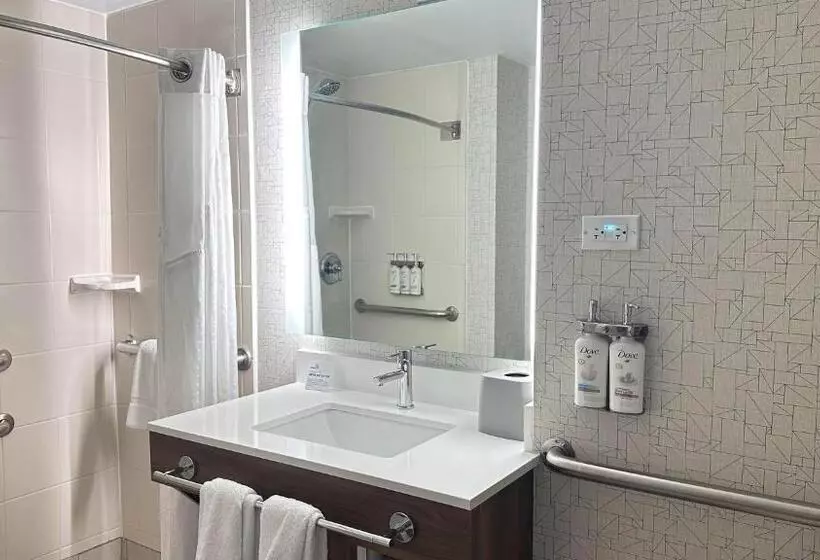 身障者適用キングサイズベッドルーム, Holiday Inn Express & Suites   Prospect Heights, An Ihg