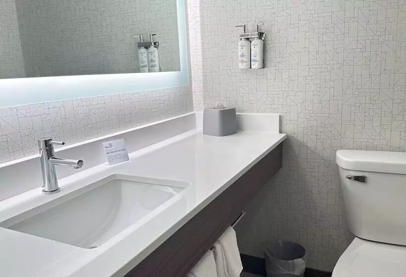 スイート, Holiday Inn Express & Suites   Prospect Heights, An Ihg