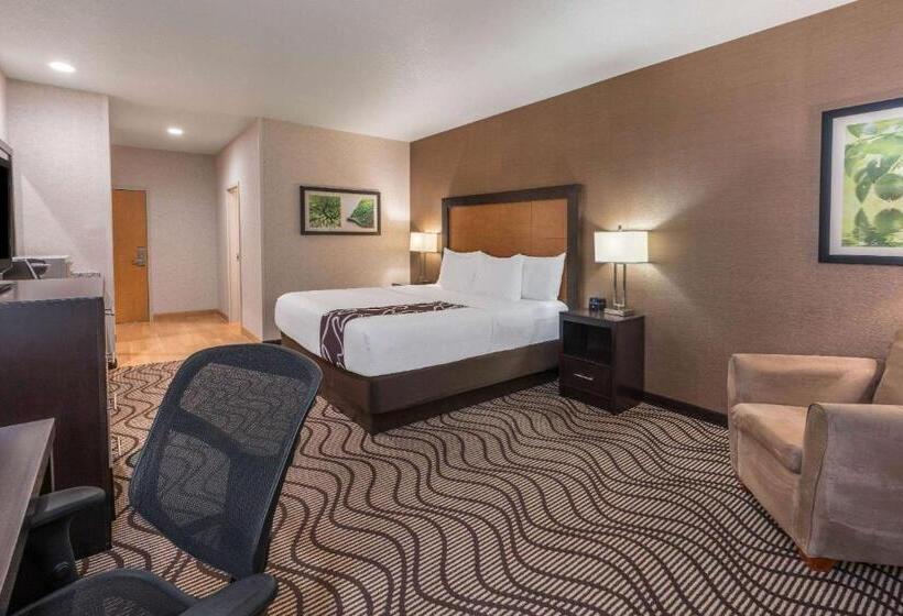 חדר דחוקס עם מיטת קינג, La Quinta By Wyndham Idaho Falls/ammon