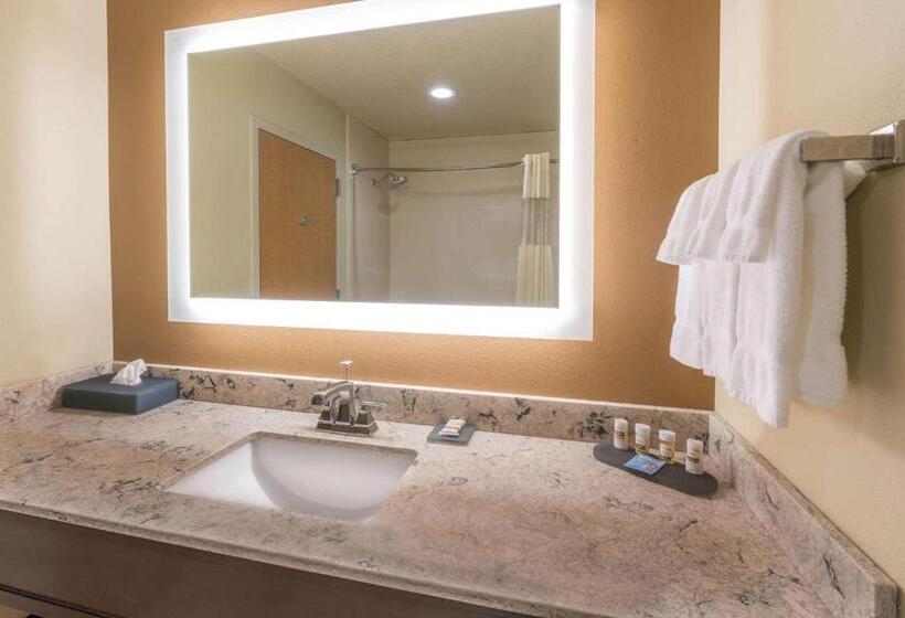 Люкс Кровать Кинг, La Quinta By Wyndham Idaho Falls/ammon