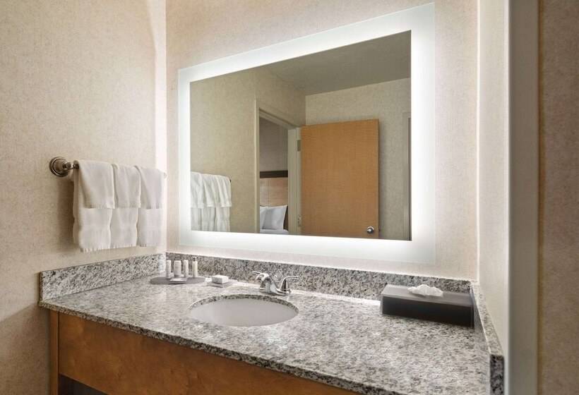 חדר דלוקס מותאם לאנשים עם מוגבלויות, La Quinta By Wyndham Idaho Falls/ammon