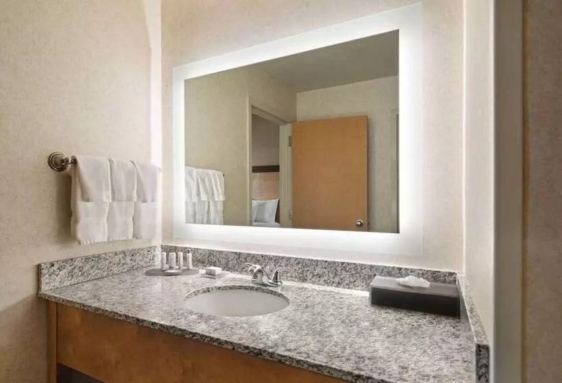 اتاق دلوکس مخصوص معلولین, La Quinta By Wyndham Idaho Falls/ammon
