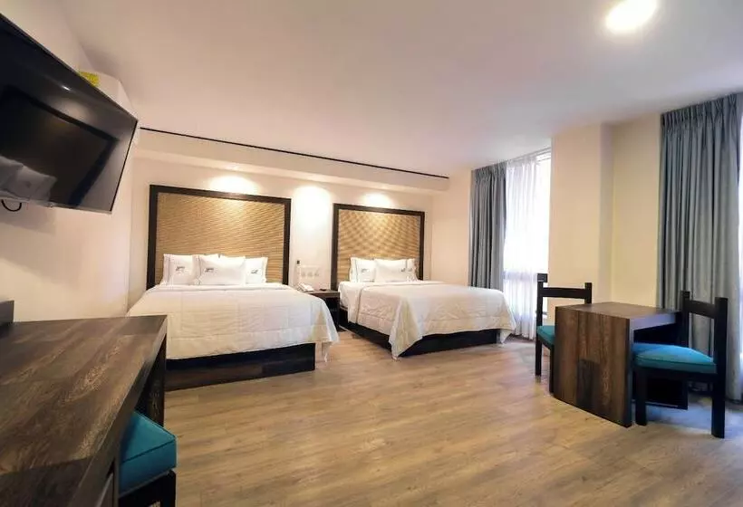سوییت جونیور لوکس, Lepanto Reforma