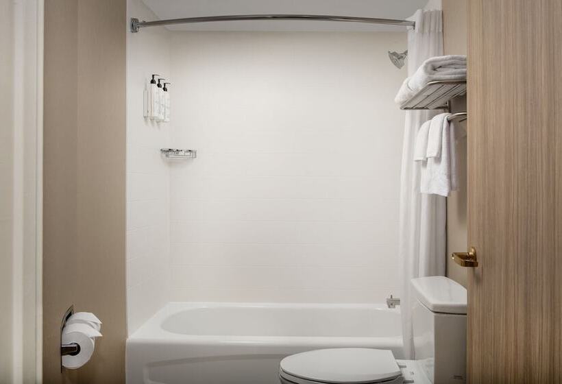 스위트, Springhill Suites By Marriott Atlanta Buford/mall Of Georgia