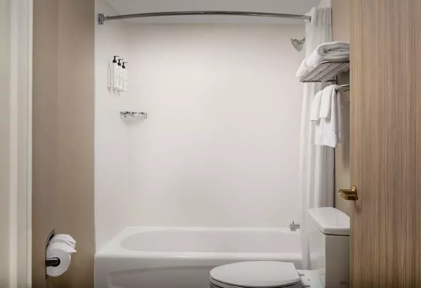 スイート, Springhill Suites By Marriott Atlanta Buford/mall Of Georgia