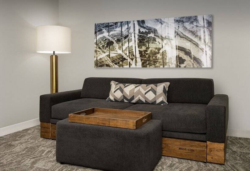 스위트, Springhill Suites By Marriott Atlanta Buford/mall Of Georgia
