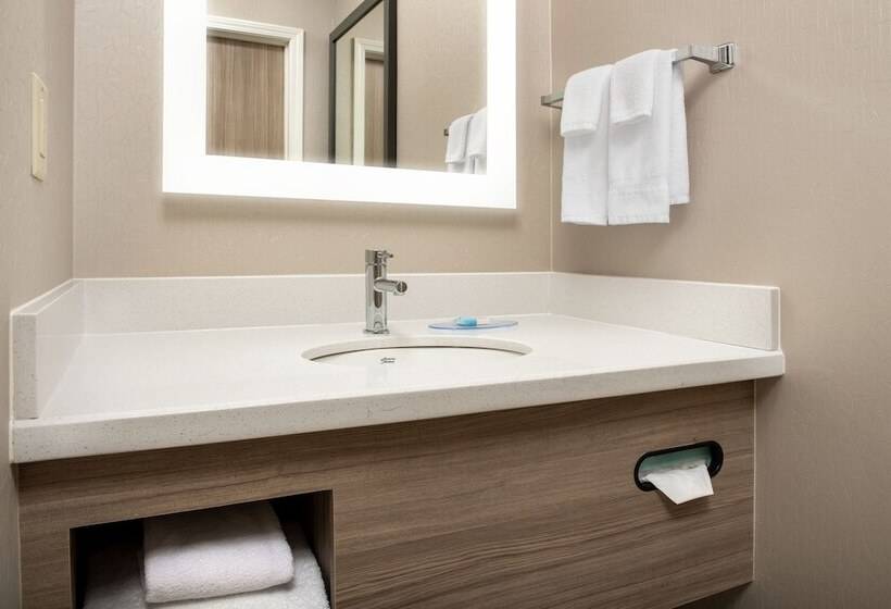 장애인을 위한 스위트, Springhill Suites By Marriott Atlanta Buford/mall Of Georgia