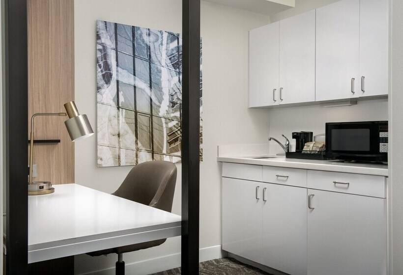 جناح لذوى الاحتياجات الخاصة, Springhill Suites By Marriott Atlanta Buford/mall Of Georgia