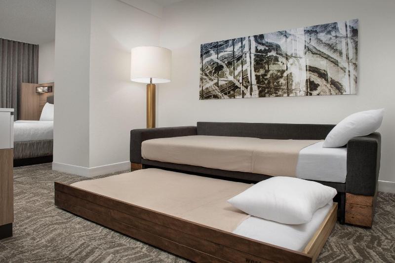 جناح سرير كينج, Springhill Suites By Marriott Atlanta Buford/mall Of Georgia
