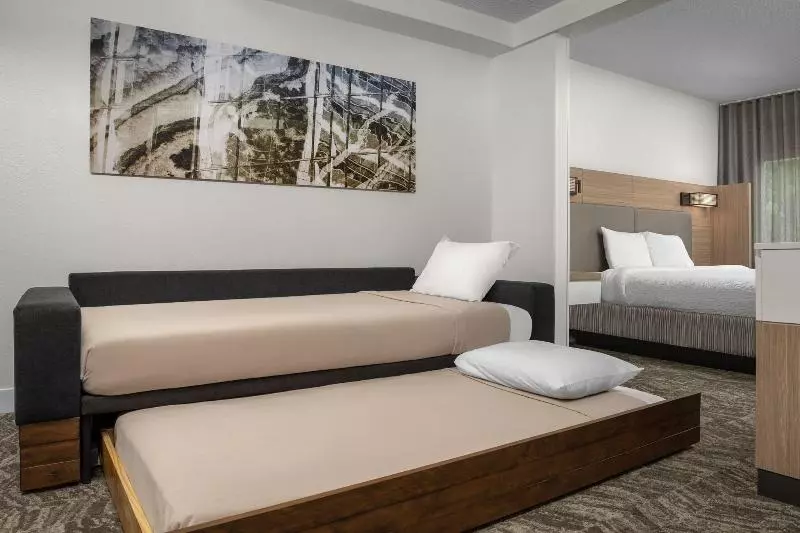 キングサイズベッドのスイートルーム, Springhill Suites By Marriott Atlanta Buford/mall Of Georgia