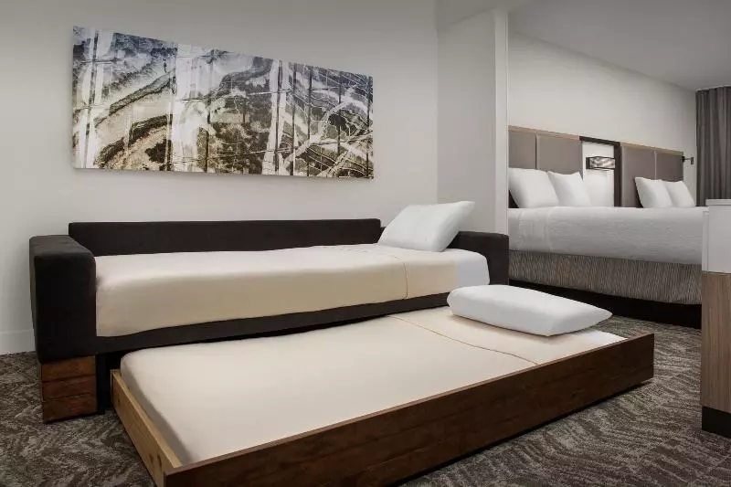 スタンダードルーム, Springhill Suites By Marriott Atlanta Buford/mall Of Georgia