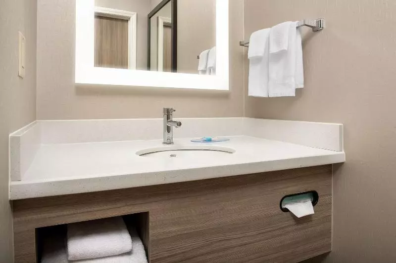 スタンダードルーム, Springhill Suites By Marriott Atlanta Buford/mall Of Georgia