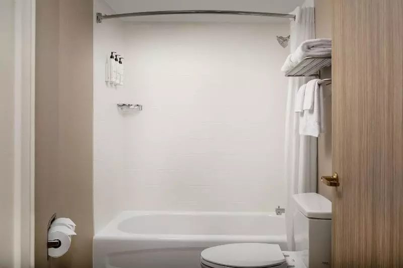 スタンダードルーム, Springhill Suites By Marriott Atlanta Buford/mall Of Georgia