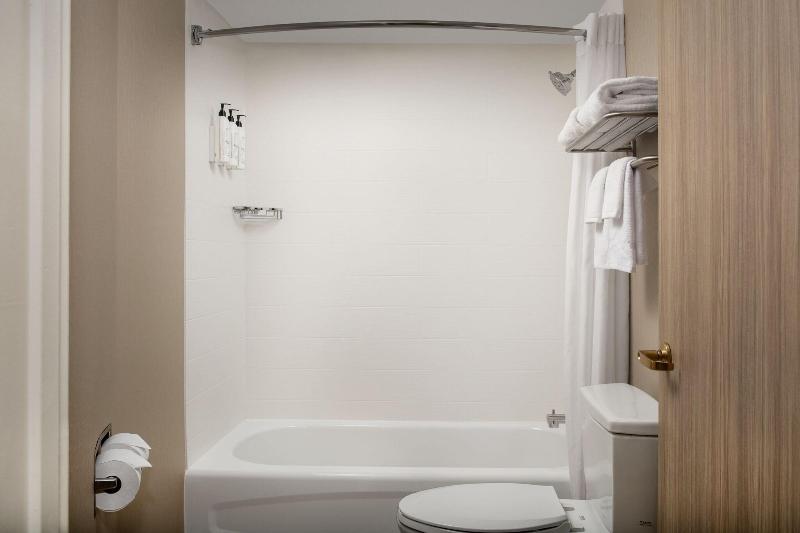 스위트, Springhill Suites By Marriott Atlanta Buford/mall Of Georgia