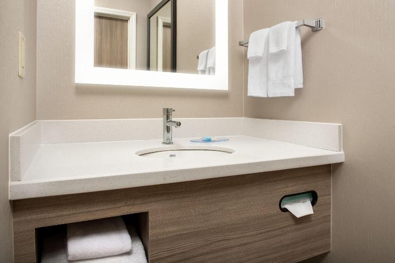 جناح, Springhill Suites By Marriott Atlanta Buford/mall Of Georgia