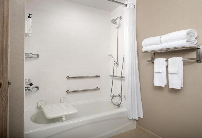 스위트, Springhill Suites By Marriott Atlanta Buford/mall Of Georgia