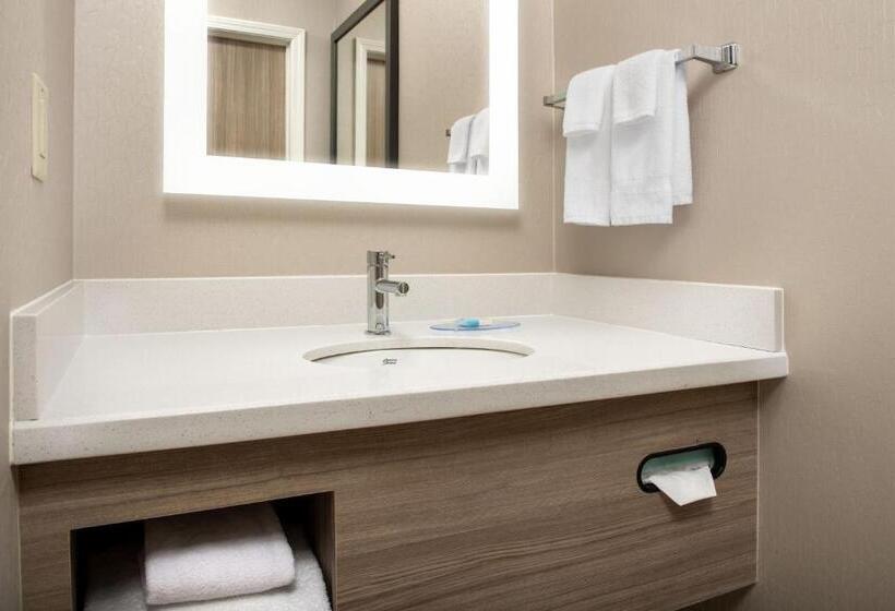 جناح سرير كينج, Springhill Suites By Marriott Atlanta Buford/mall Of Georgia