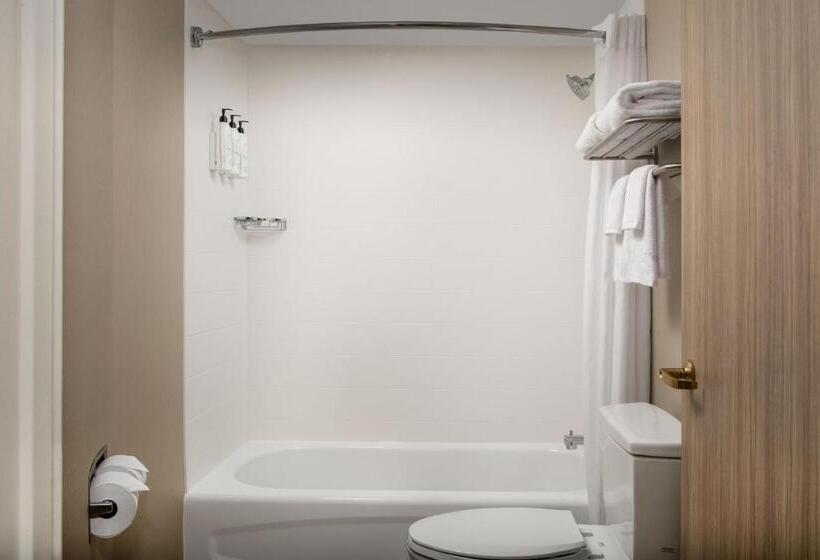 스탠다드 룸, Springhill Suites By Marriott Atlanta Buford/mall Of Georgia