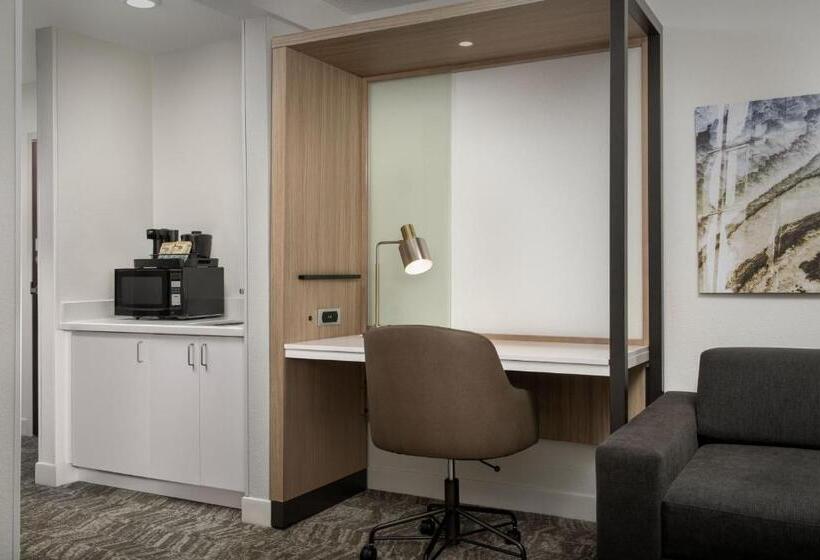 스탠다드 룸, Springhill Suites By Marriott Atlanta Buford/mall Of Georgia