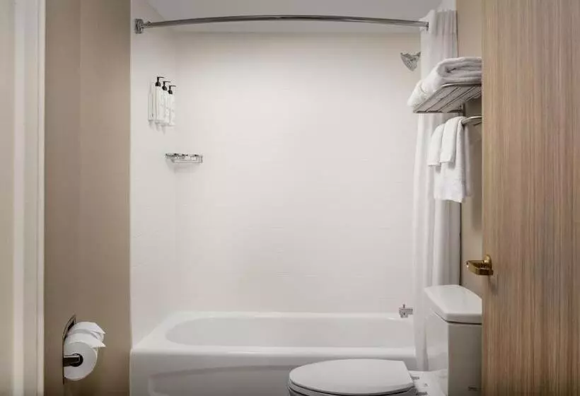 キングサイズベッドのスタンダードルーム, Springhill Suites By Marriott Atlanta Buford/mall Of Georgia