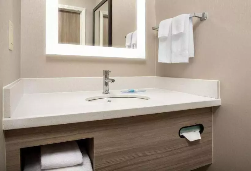 キングサイズベッドのスタンダードルーム, Springhill Suites By Marriott Atlanta Buford/mall Of Georgia