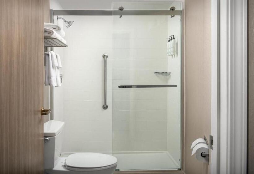 스탠다드 룸 킹사이즈 침대, Springhill Suites By Marriott Atlanta Buford/mall Of Georgia